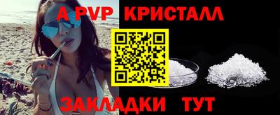 шишки Донской