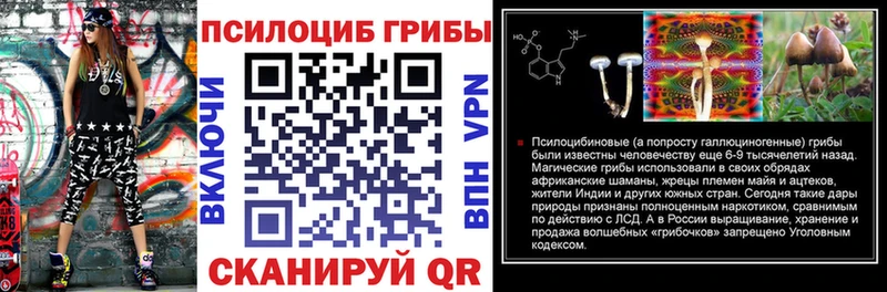 Галлюциногенные грибы Magic Shrooms  купить закладку  ссылка на мегу tor  Нефтекумск 