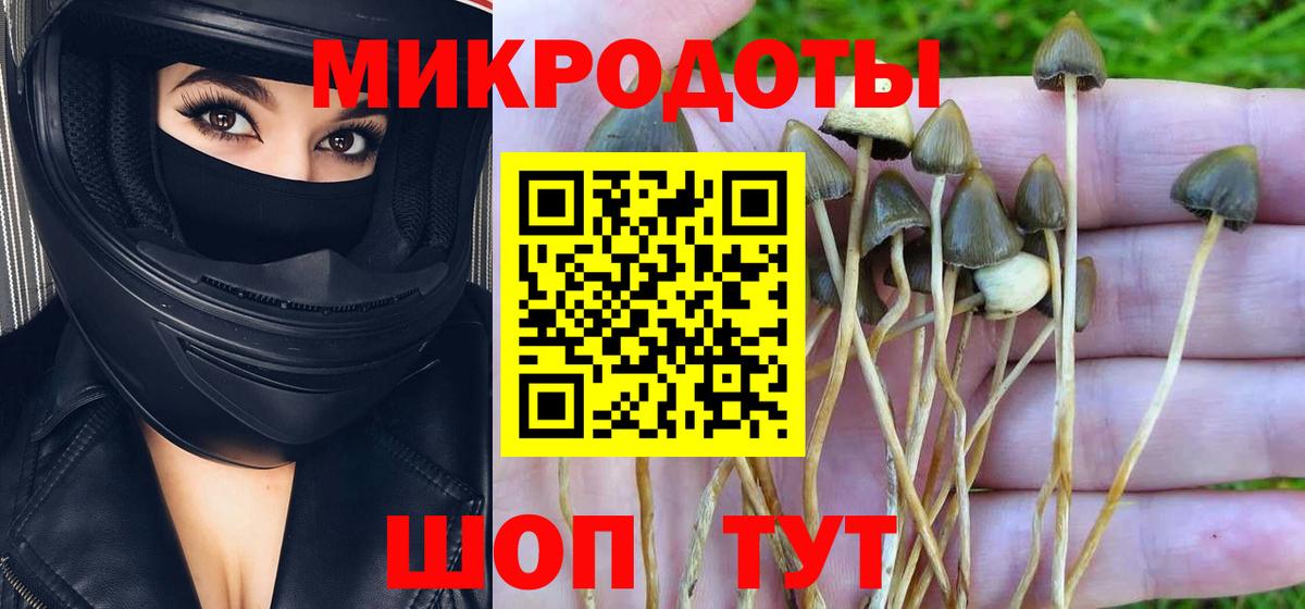 Нефтекумск  Псилоцибиновые грибы Psilocybine cubensis  Псилоцибиновые грибы мухоморы  закладка  Вход с VPN 