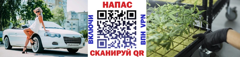 OMG рабочий сайт Нефтекумск Конопля OG Kush